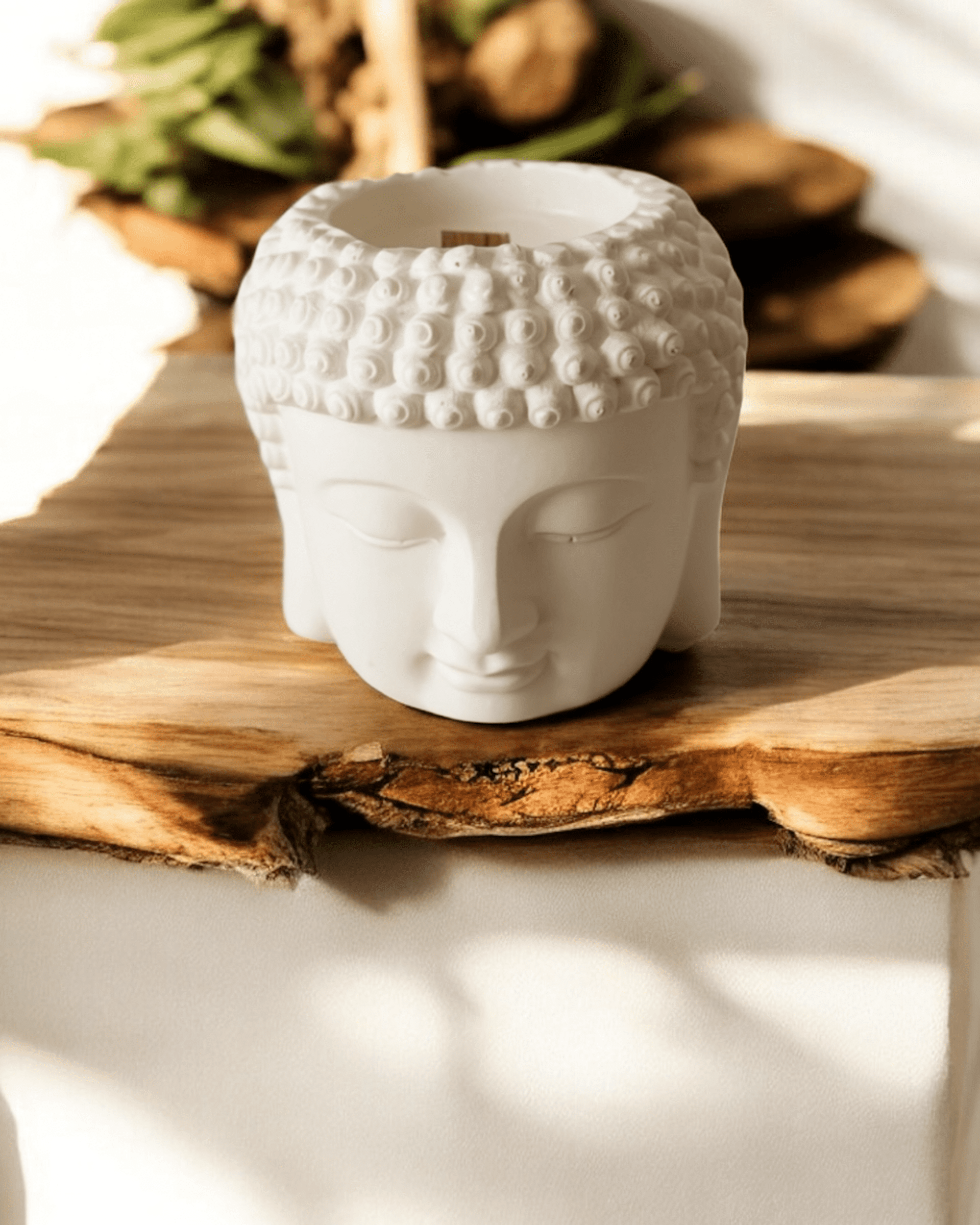 Vela Buda - 1