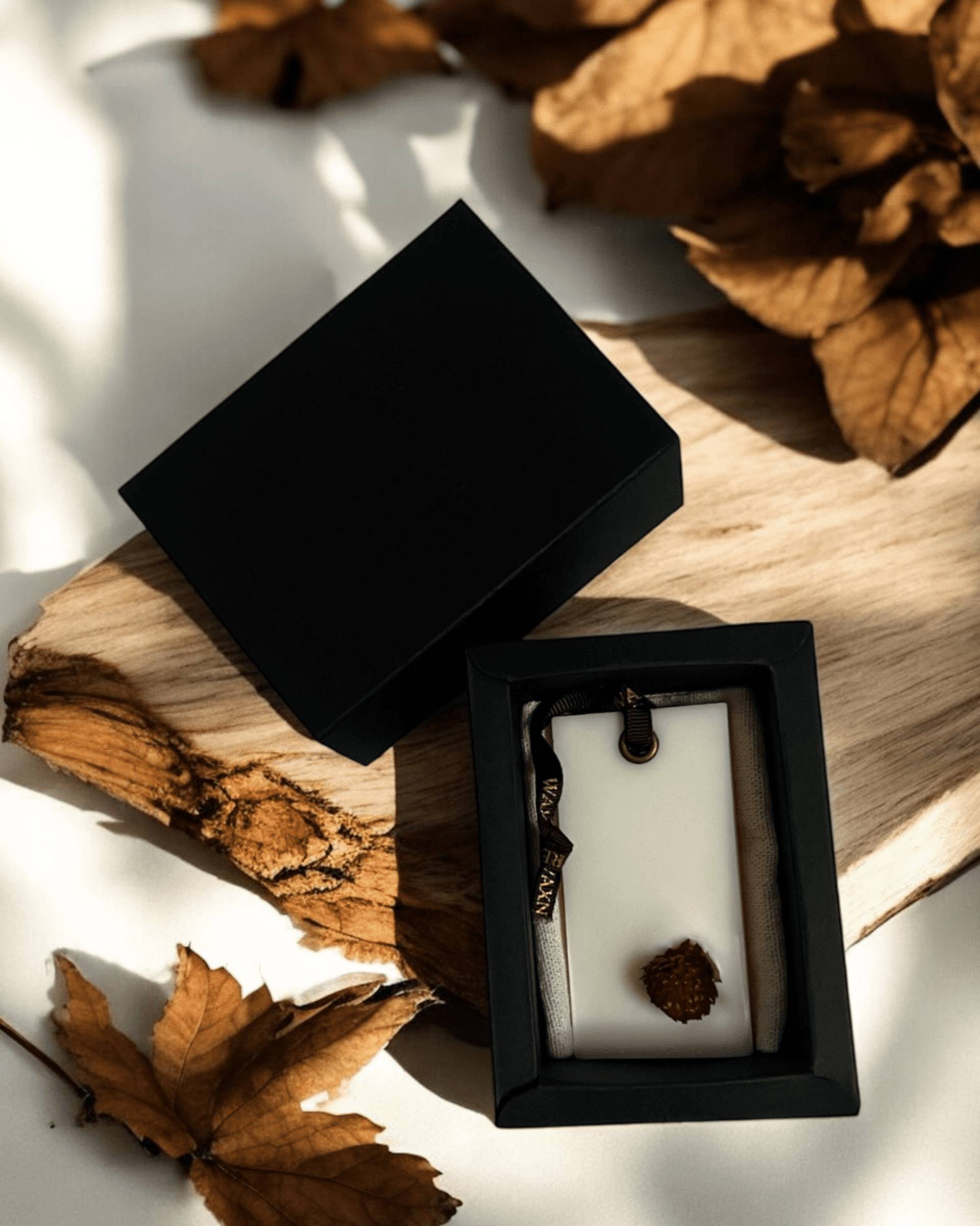 Ambientador Sólido | Grosella Negra & Rosa - 1