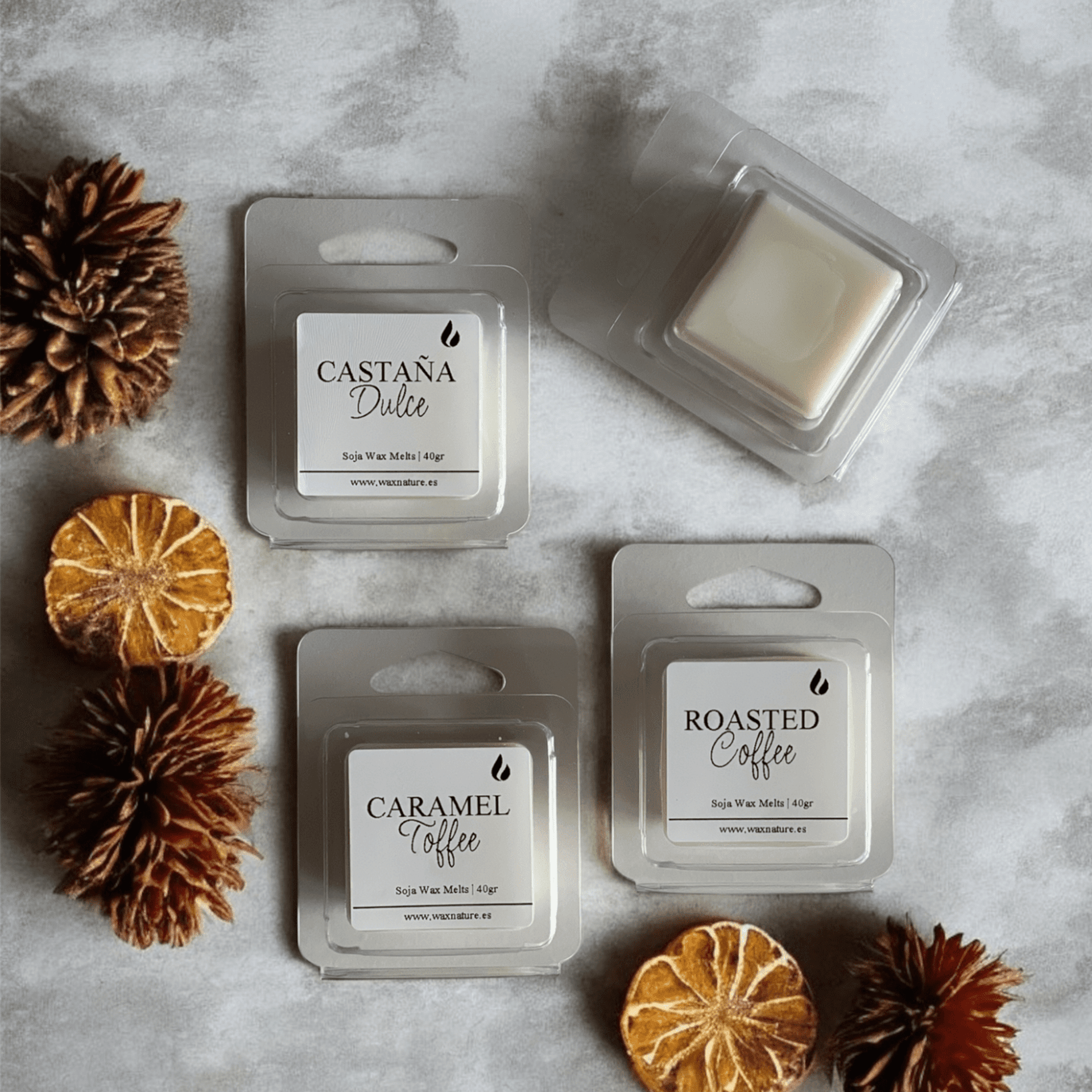 Wax Melts | Mini ~ Otoño - 2