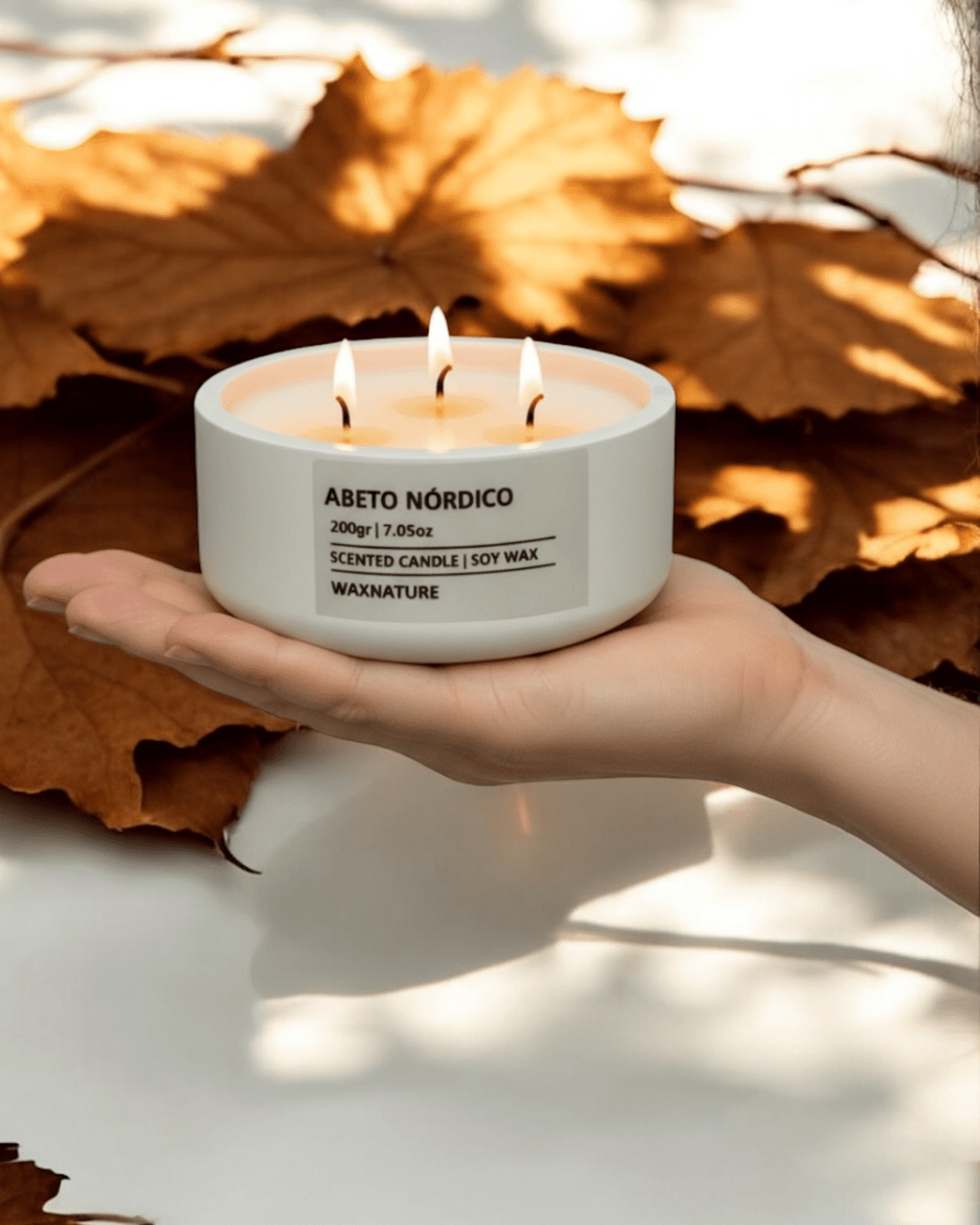 Vela Abeto Nórdico - 2