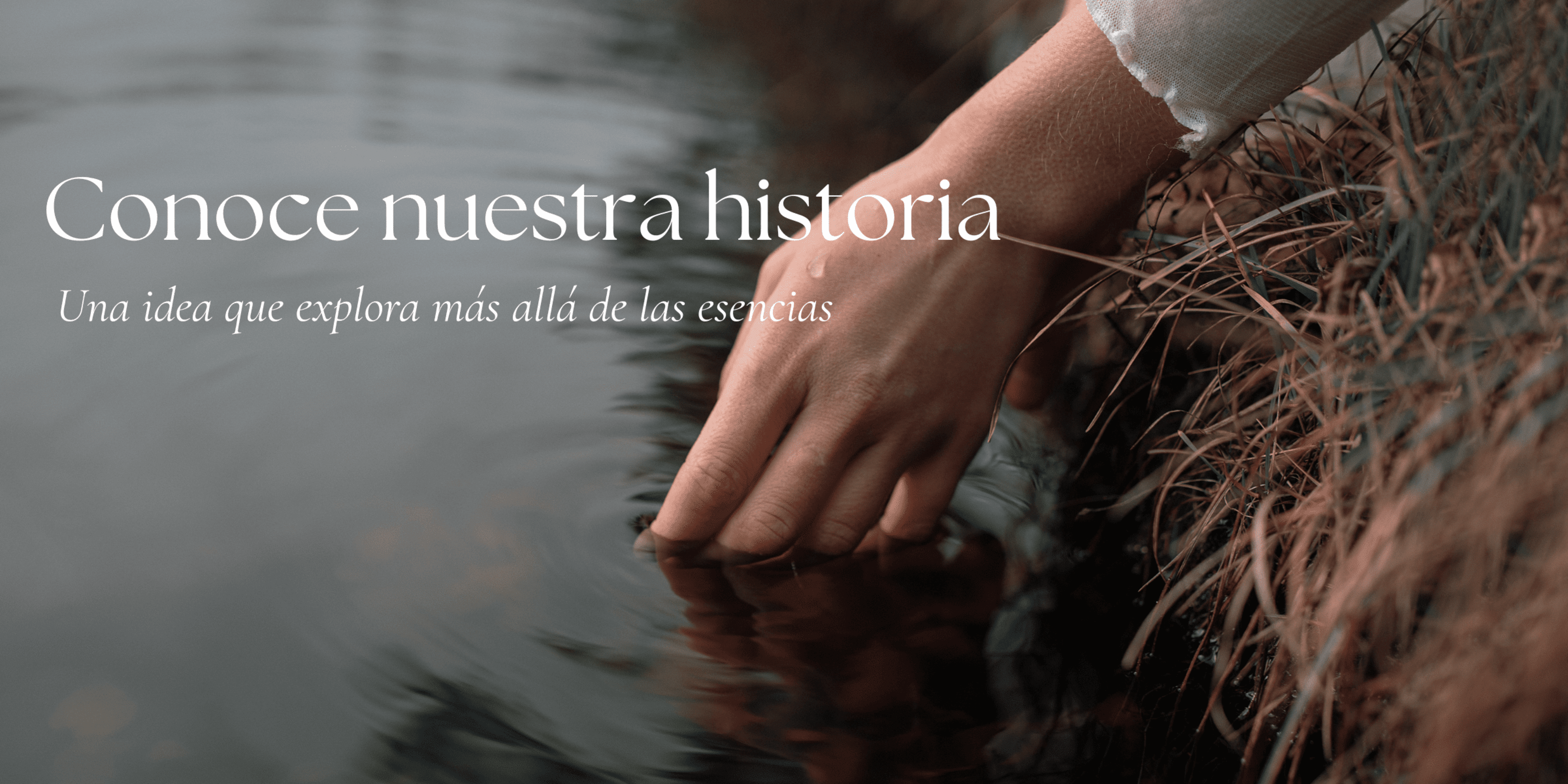 ¿Qué es Waxnature?  Nuestra historia