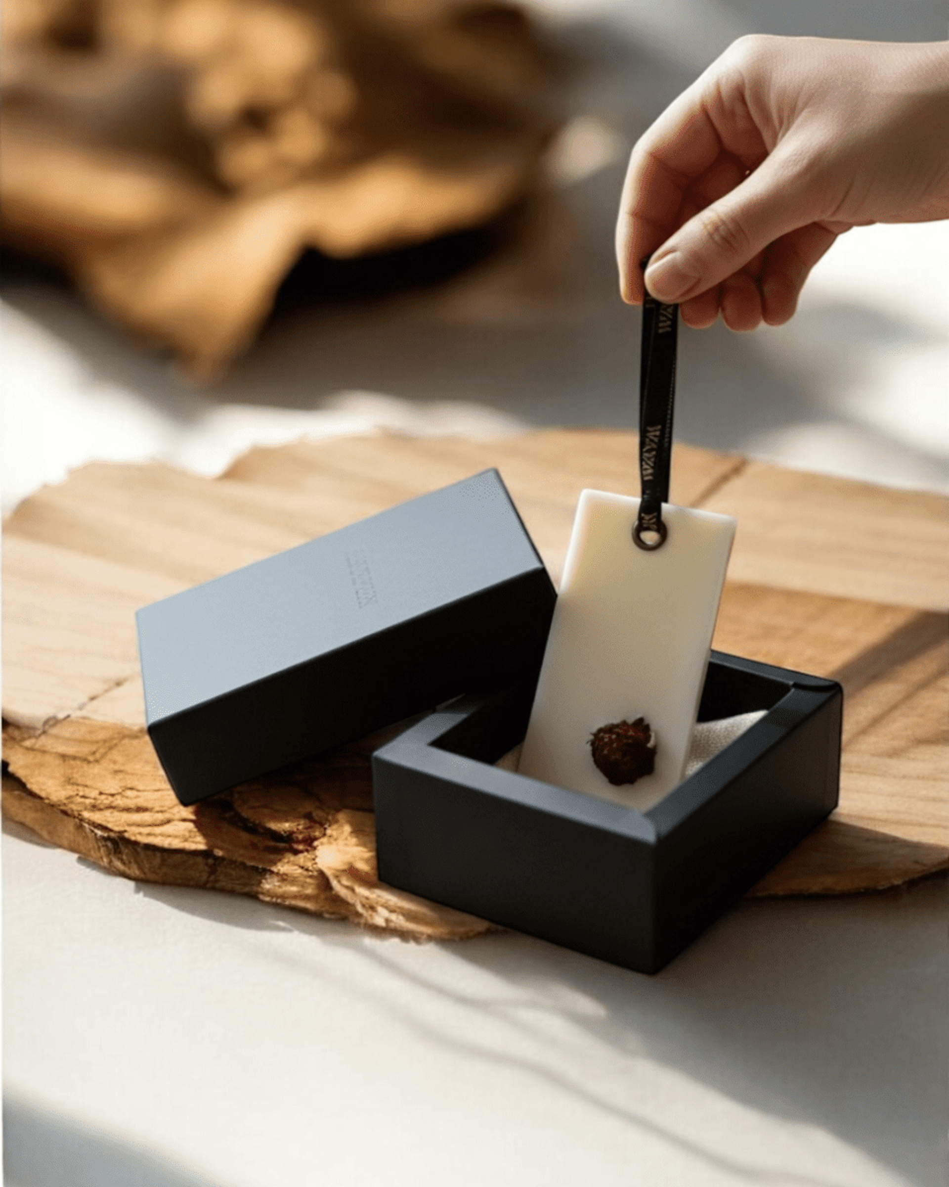 Ambientador Sólido | Grosella Negra & Rosa - 2