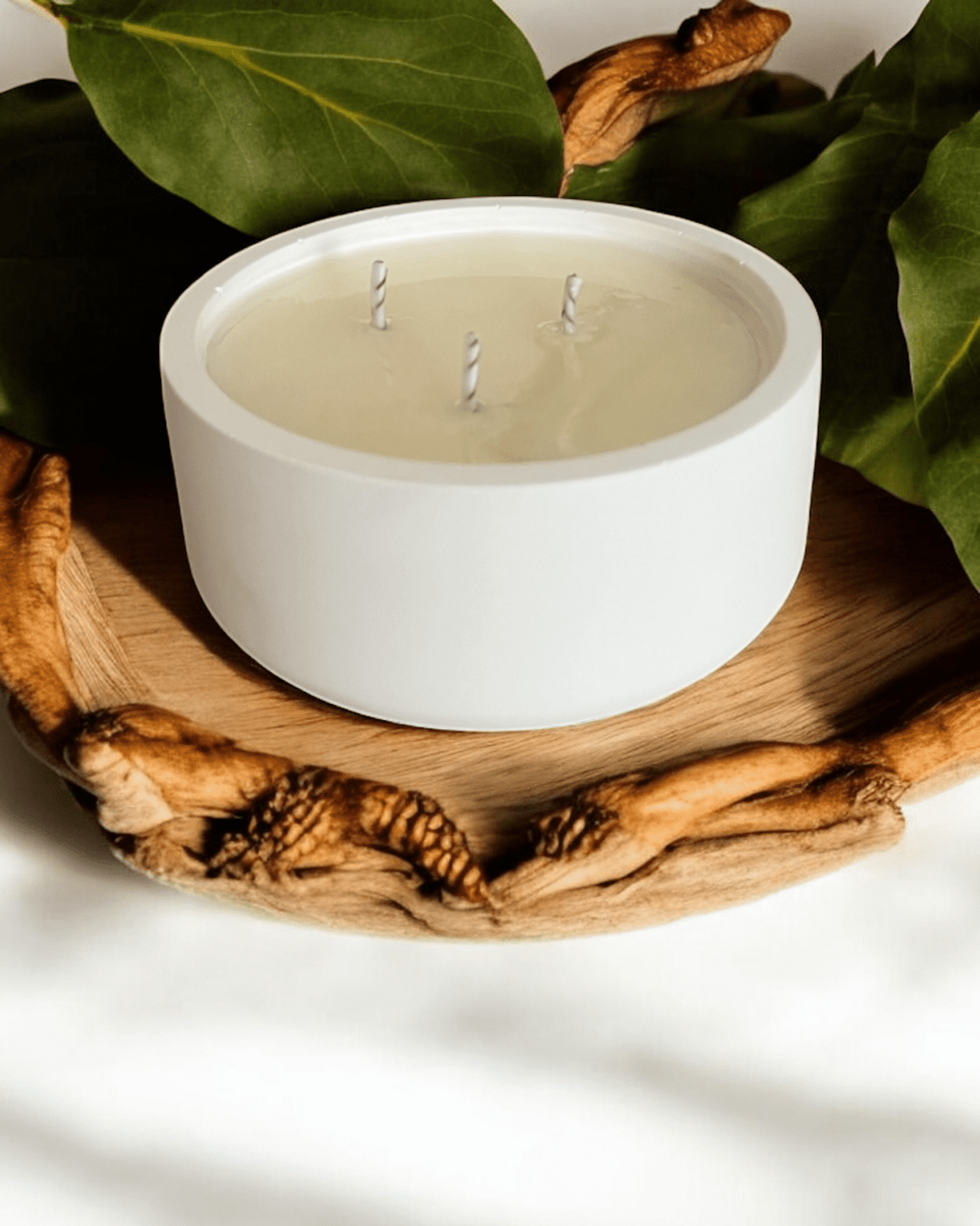 Vela Hoja de Higuera - 1