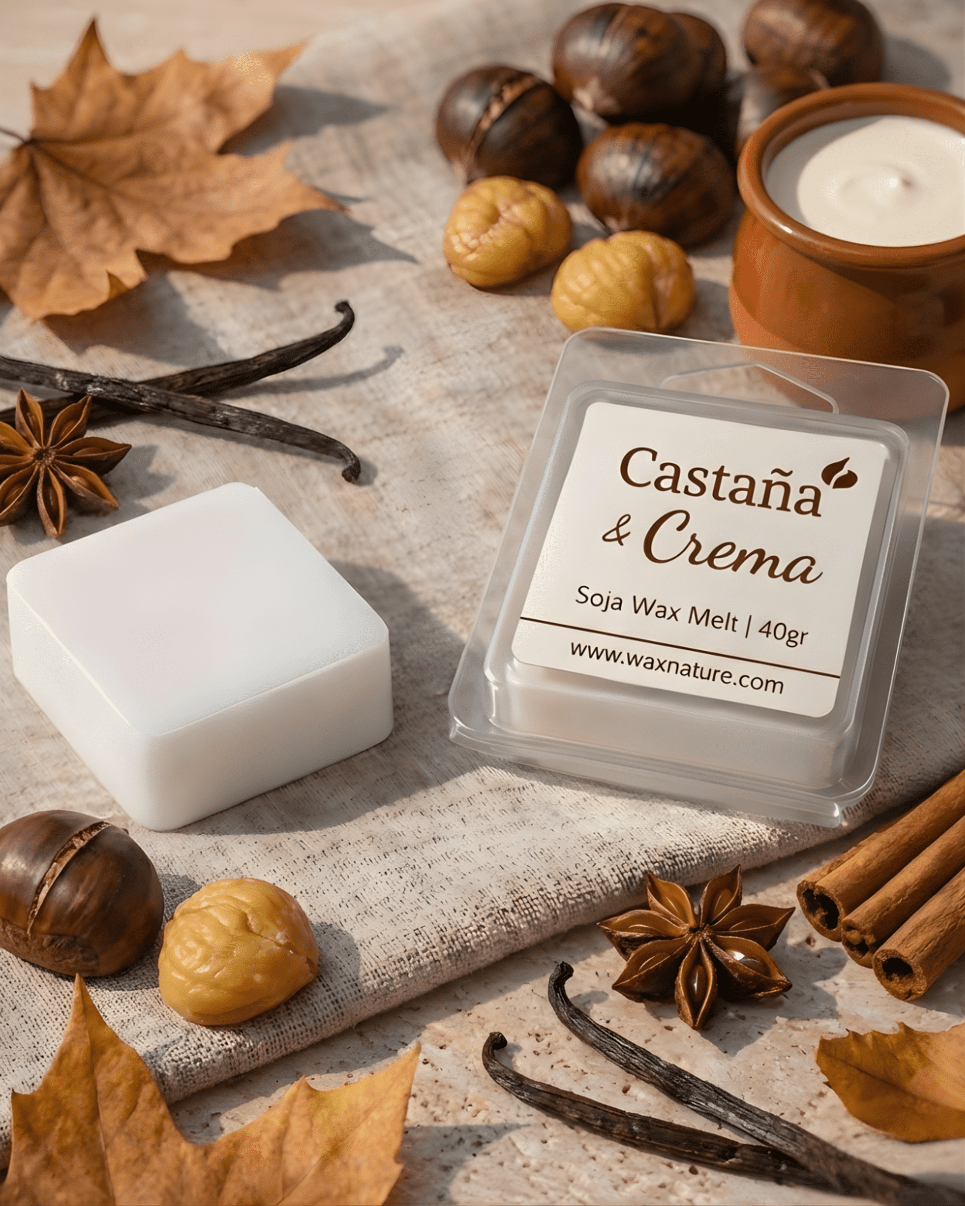 WAX MELTS | Mini - 3